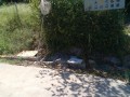 IMG_20260826_125509