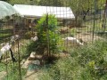 IMG_20260826_125621