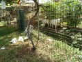 IMG_20260826_125632