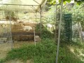 IMG_20260826_125647