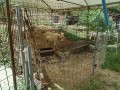 IMG_20260826_125715