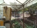IMG_20260826_125740