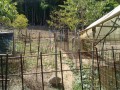 IMG_20260826_125742