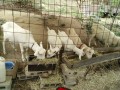 IMG_20260827_094405