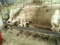 IMG_20260827_094419