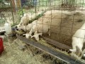 IMG_20260827_094424
