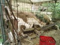 IMG_20260827_094445