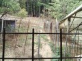 IMG_20260827_094447