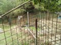 IMG_20260827_094519