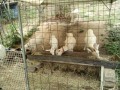 IMG_20260827_100624