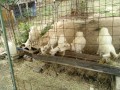 IMG_20260827_100634