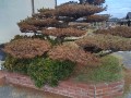 IMG_20260827_105838