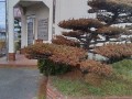 IMG_20260827_105846