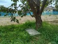 IMG_20260827_115404