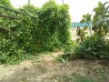 IMG_20260827_115406