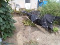 IMG_20260827_115449