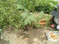 IMG_20260827_115454