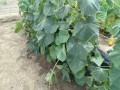 IMG_20260827_115507