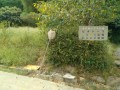 IMG_20260828_121219