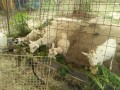 IMG_20260828_121929