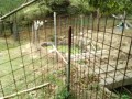 IMG_20260828_122038