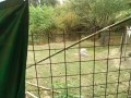 IMG_20260828_122040