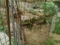 IMG_20260828_122053