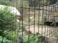 IMG_20260829_090615