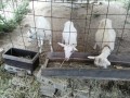 IMG_20260829_090731