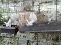 IMG_20260829_090737