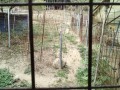 IMG_20260829_090930