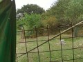 IMG_20260829_090947