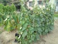 IMG_20260829_104101