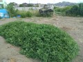 IMG_20260829_104104