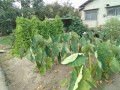 IMG_20260829_104109