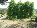IMG_20260829_110514