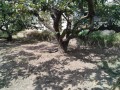 IMG_20260829_112555