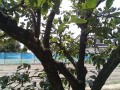 IMG_20260829_112601