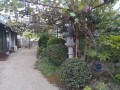 IMG_20260829_182351