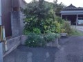 IMG_20260829_183455