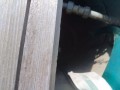 IMG_20260830_090256