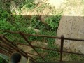 IMG_20260830_091222