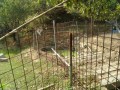 IMG_20260830_091233