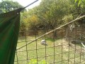 IMG_20260830_091235