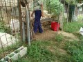 IMG_20260830_092651