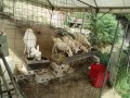 IMG_20260830_092841