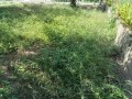 IMG_20260830_101451