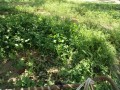 IMG_20260830_101455