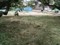 IMG_20260830_112358