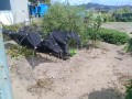 IMG_20260830_112801
